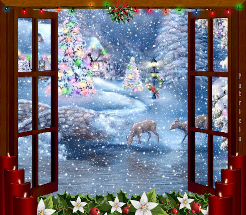 Christmas Window.jpg