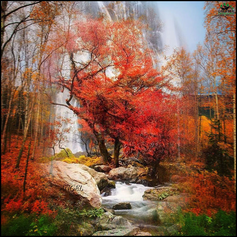 Autumn Waterfall.jpg