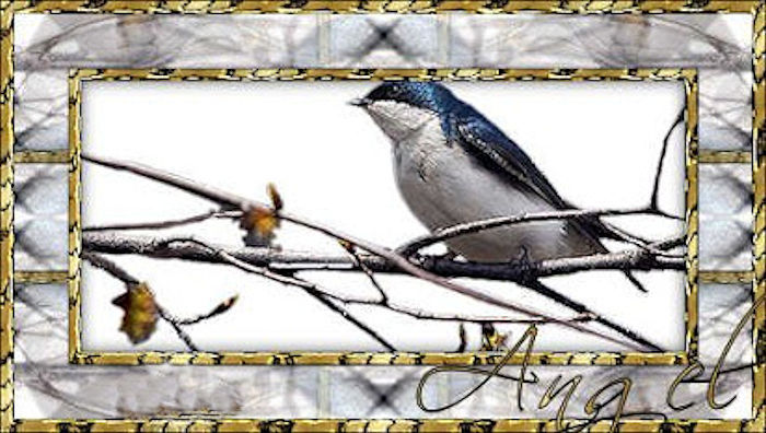 OR Happy Bird Frame1.jpg